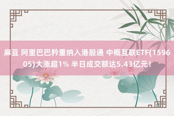 麻豆 阿里巴巴矜重纳入港股通 中概互联ETF(159605)大涨超1% 半日成交额达5.43亿元！