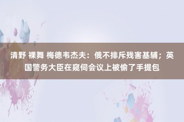 清野 裸舞 梅德韦杰夫：俄不排斥残害基辅；英国警务大臣在窥伺会议上被偷了手提包