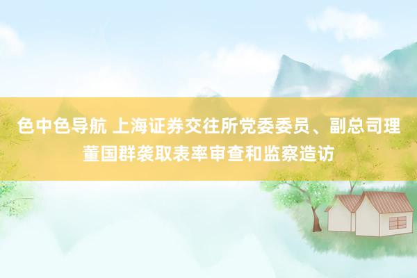 色中色导航 上海证券交往所党委委员、副总司理董国群袭取表率审查和监察造访