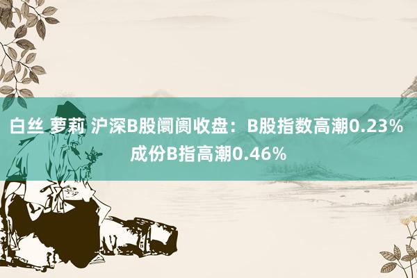 白丝 萝莉 沪深B股阛阓收盘：B股指数高潮0.23% 成份B指高潮0.46%