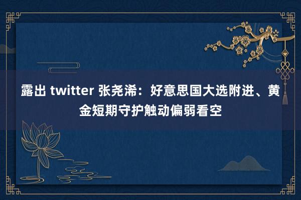 露出 twitter 张尧浠：好意思国大选附进、黄金短期守护触动偏弱看空