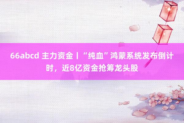 66abcd 主力资金丨“纯血”鸿蒙系统发布倒计时，近8亿资金抢筹龙头股