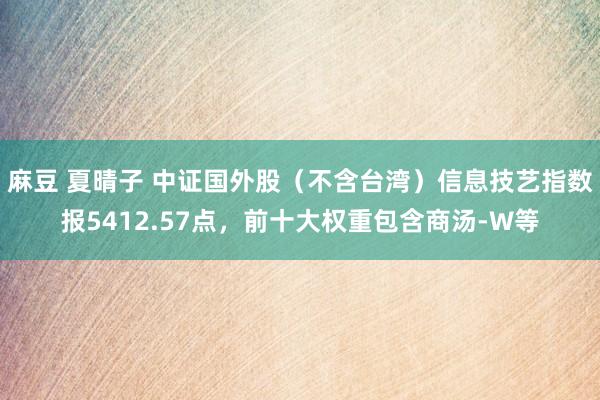 麻豆 夏晴子 中证国外股（不含台湾）信息技艺指数报5412.57点，前十大权重包含商汤-W等