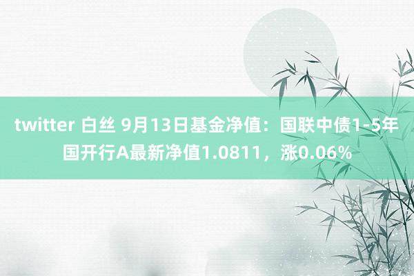 twitter 白丝 9月13日基金净值：国联中债1-5年国开行A最新净值1.0811，涨0.06%