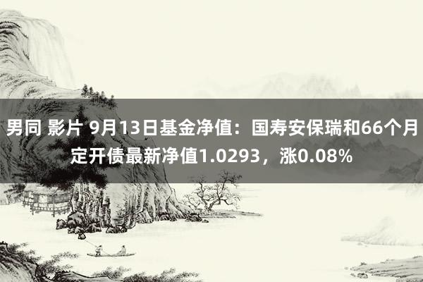 男同 影片 9月13日基金净值：国寿安保瑞和66个月定开债最新净值1.0293，涨0.08%