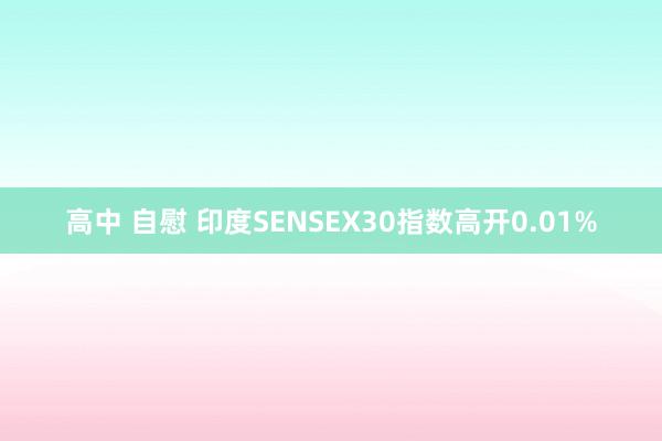 高中 自慰 印度SENSEX30指数高开0.01%