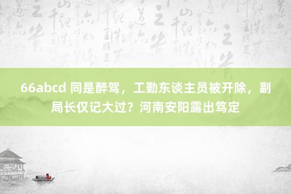 66abcd 同是醉驾，工勤东谈主员被开除，副局长仅记大过？河南安阳露出笃定