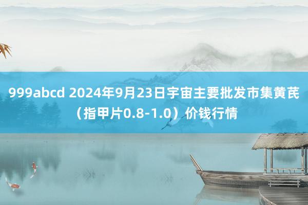 999abcd 2024年9月23日宇宙主要批发市集黄芪（指甲片0.8-1.0）价钱行情