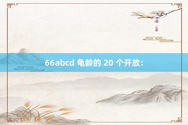 66abcd 龟龄的 20 个开放：