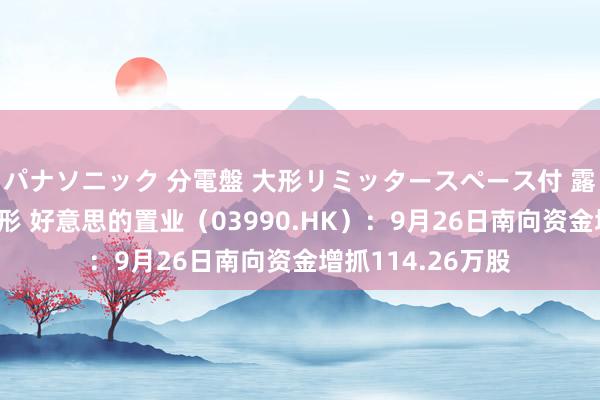 パナソニック 分電盤 大形リミッタースペース付 露出・半埋込両用形 好意思的置业（03990.HK）：9月26日南向资金增抓114.26万股