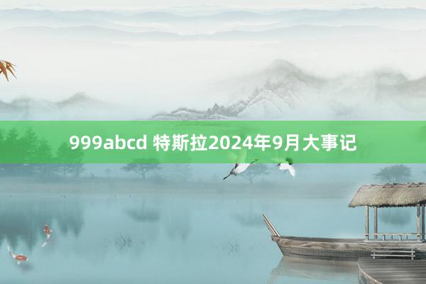 999abcd 特斯拉2024年9月大事记