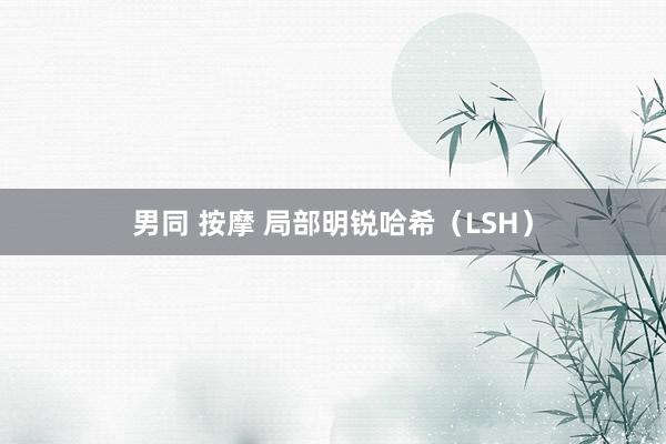 男同 按摩 局部明锐哈希（LSH）