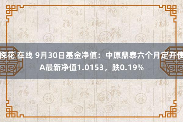 探花 在线 9月30日基金净值：中原鼎泰六个月定开债A最新净值1.0153，跌0.19%