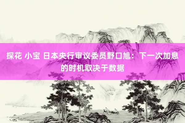 探花 小宝 日本央行审议委员野口旭：下一次加息的时机取决于数据