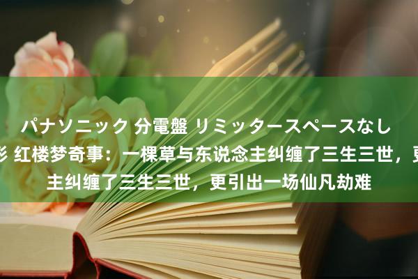 パナソニック 分電盤 リミッタースペースなし 露出・半埋込両用形 红楼梦奇事：一棵草与东说念主纠缠了三生三世，更引出一场仙凡劫难