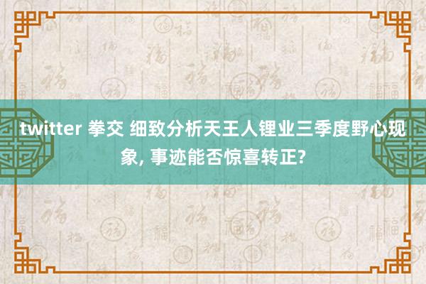 twitter 拳交 细致分析天王人锂业三季度野心现象， 事迹能否惊喜转正?