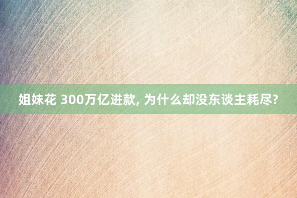 姐妹花 300万亿进款， 为什么却没东谈主耗尽?