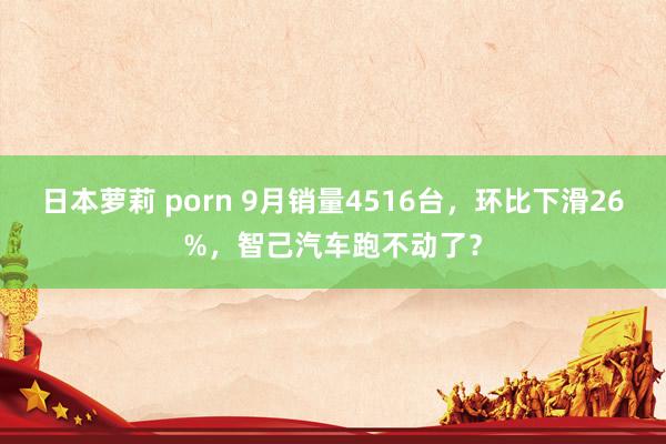 日本萝莉 porn 9月销量4516台，环比下滑26%，智己汽车跑不动了？