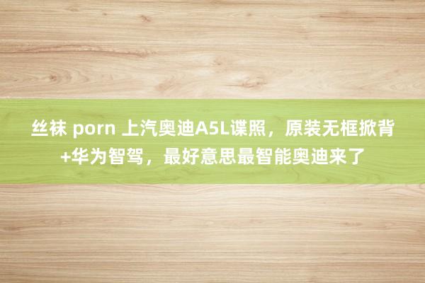 丝袜 porn 上汽奥迪A5L谍照，原装无框掀背+华为智驾，最好意思最智能奥迪来了