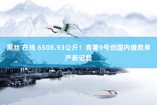 黑丝 在线 6508.93公斤！青薯9号创国内援救单产新记载