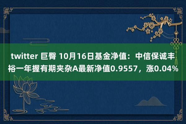 twitter 巨臀 10月16日基金净值：中信保诚丰裕一年握有期夹杂A最新净值0.9557，涨0.04%