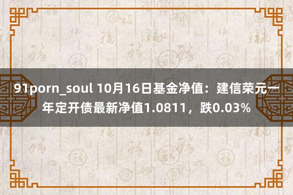 91porn_soul 10月16日基金净值：建信荣元一年定开债最新净值1.0811，跌0.03%