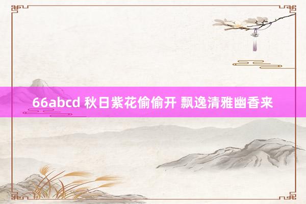 66abcd 秋日紫花偷偷开 飘逸清雅幽香来