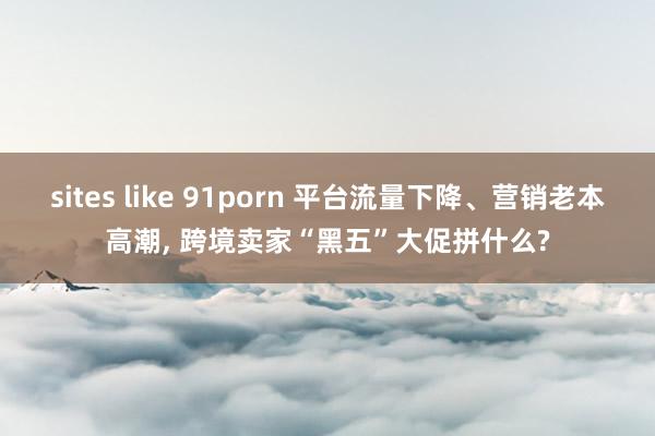 sites like 91porn 平台流量下降、营销老本高潮， 跨境卖家“黑五”大促拼什么?