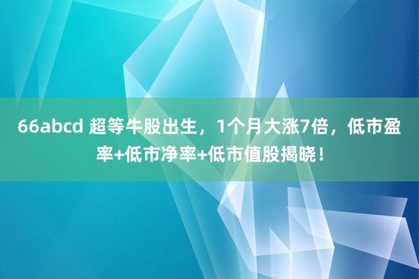 66abcd 超等牛股出生，1个月大涨7倍，低市盈率+低市净率+低市值股揭晓！