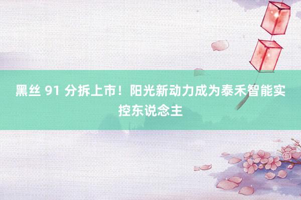 黑丝 91 分拆上市！阳光新动力成为泰禾智能实控东说念主