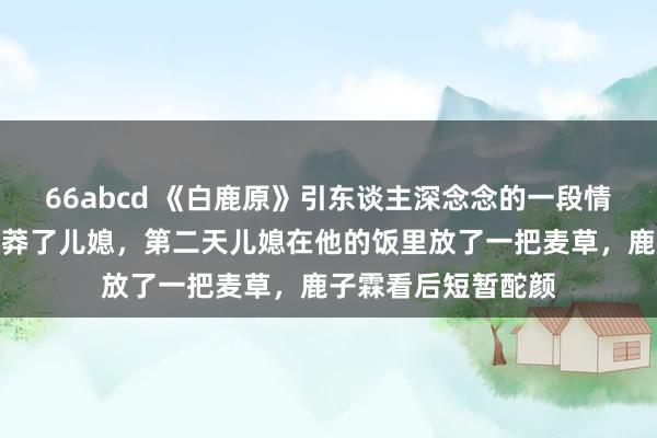 66abcd 《白鹿原》引东谈主深念念的一段情节：鹿子霖酒后卤莽了儿媳，第二天儿媳在他的饭里放了一把麦草，鹿子霖看后短暂酡颜