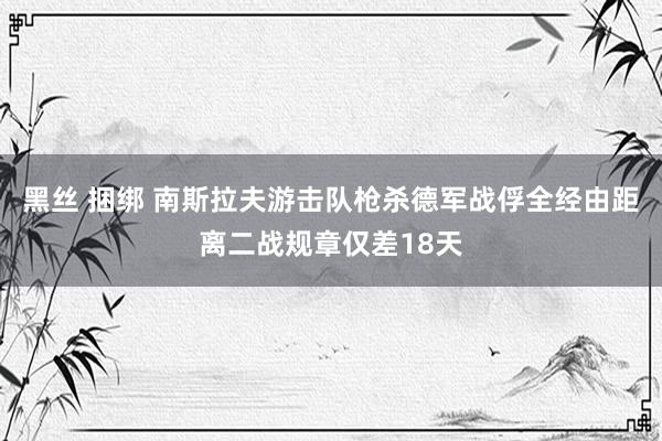 黑丝 捆绑 南斯拉夫游击队枪杀德军战俘全经由距离二战规章仅差18天