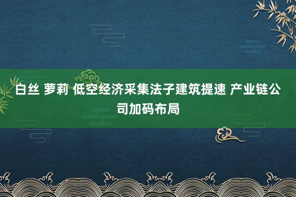 白丝 萝莉 低空经济采集法子建筑提速 产业链公司加码布局