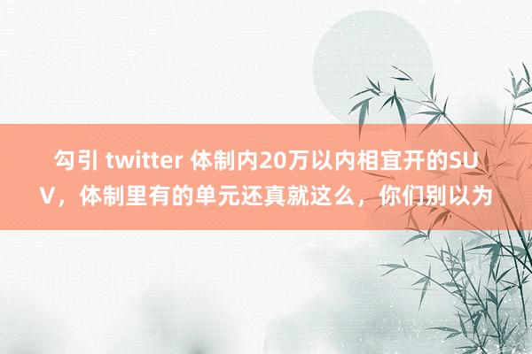 勾引 twitter 体制内20万以内相宜开的SUV，体制里有的单元还真就这么，你们别以为