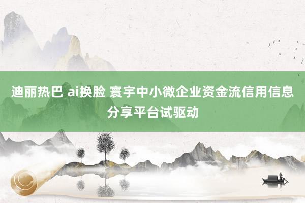 迪丽热巴 ai换脸 寰宇中小微企业资金流信用信息分享平台试驱动