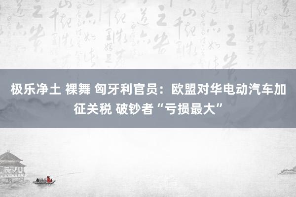 极乐净土 裸舞 匈牙利官员：欧盟对华电动汽车加征关税 破钞者“亏损最大”