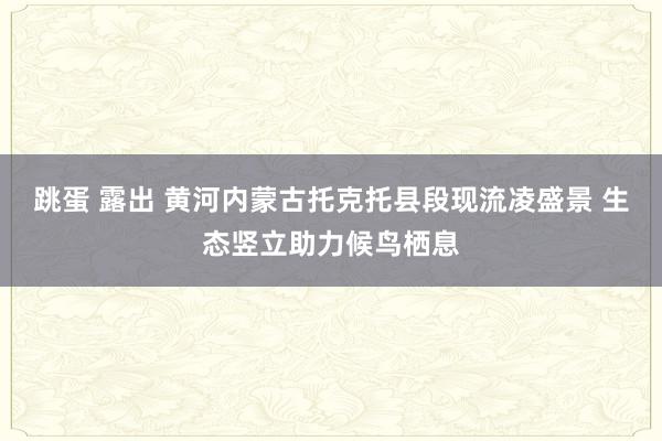 跳蛋 露出 黄河内蒙古托克托县段现流凌盛景 生态竖立助力候鸟栖息