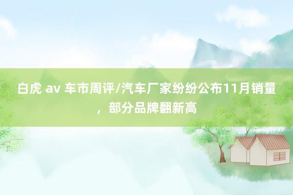 白虎 av 车市周评/汽车厂家纷纷公布11月销量，部分品牌翻新高