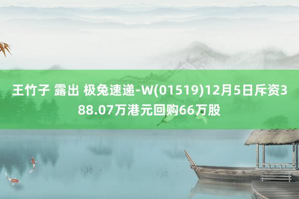 王竹子 露出 极兔速递-W(01519)12月5日斥资388.07万港元回购66万股