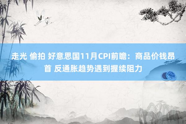 走光 偷拍 好意思国11月CPI前瞻：商品价钱昂首 反通胀趋势遇到握续阻力