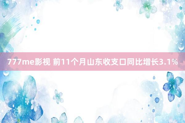 777me影视 前11个月山东收支口同比增长3.1%