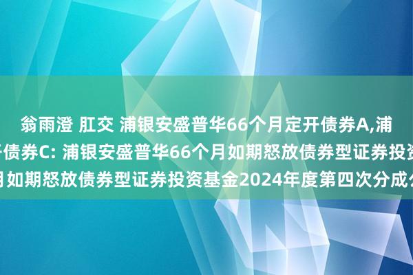 翁雨澄 肛交 浦银安盛普华66个月定开债券A，浦银安盛普华66个月定开债券C: 浦银安盛普华66个月如期怒放债券型证券投资基金2024年度第四次分成公告