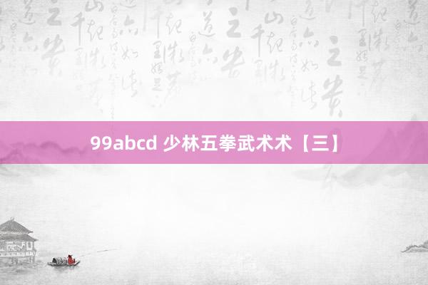 99abcd 少林五拳武术术【三】