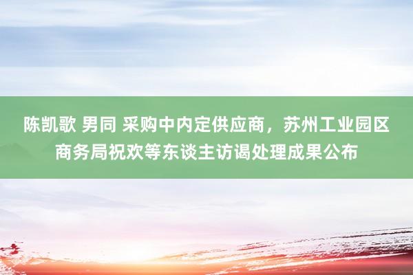 陈凯歌 男同 采购中内定供应商，苏州工业园区商务局祝欢等东谈主访谒处理成果公布