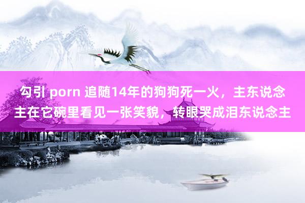 勾引 porn 追随14年的狗狗死一火，主东说念主在它碗里看见一张笑貌，转眼哭成泪东说念主