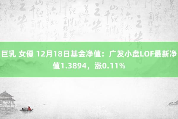 巨乳 女優 12月18日基金净值：广发小盘LOF最新净值1.3894，涨0.11%