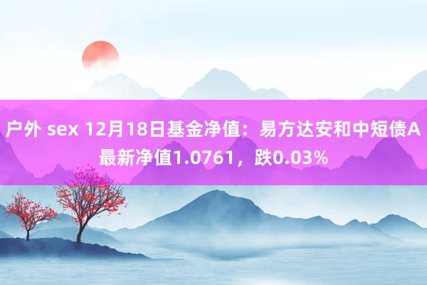 户外 sex 12月18日基金净值：易方达安和中短债A最新净值1.0761，跌0.03%