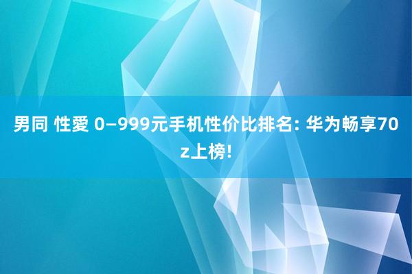 男同 性愛 0—999元手机性价比排名: 华为畅享70z上榜!