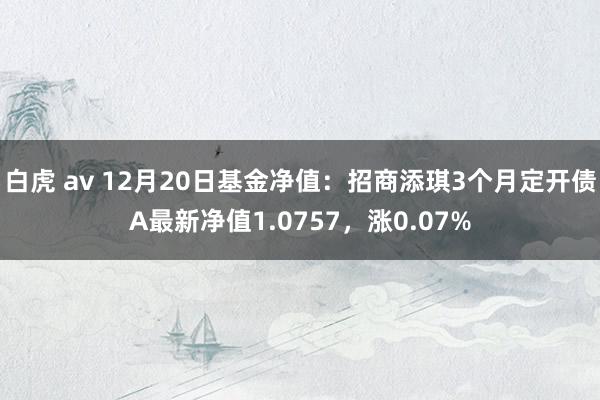 白虎 av 12月20日基金净值：招商添琪3个月定开债A最新净值1.0757，涨0.07%