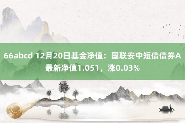 66abcd 12月20日基金净值：国联安中短债债券A最新净值1.051，涨0.03%